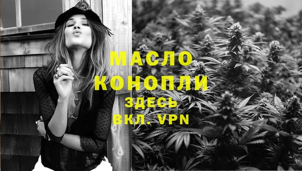 дживик Протвино