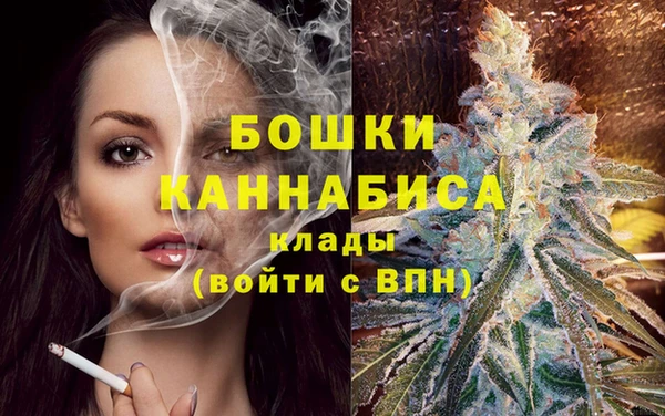 ПСИЛОЦИБИНОВЫЕ ГРИБЫ Приозерск