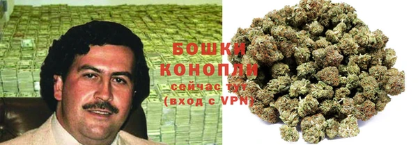 ПСИЛОЦИБИНОВЫЕ ГРИБЫ Приозерск