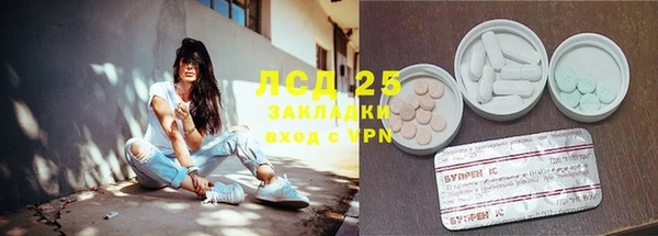 ПСИЛОЦИБИНОВЫЕ ГРИБЫ Приозерск